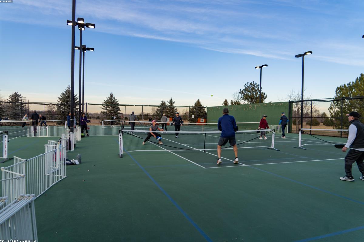 Best Pickleball Apps for Beginners in 2026: Find Games and Track Stats