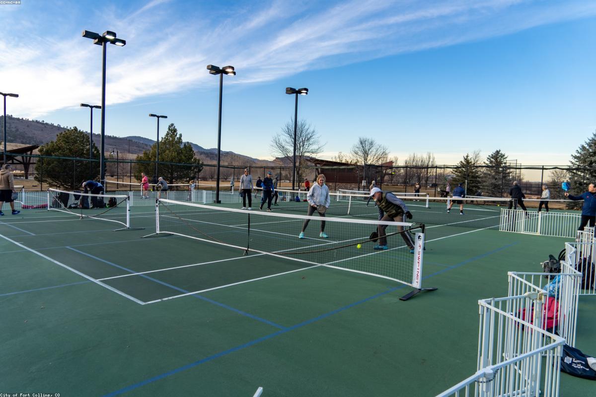 Best Pickleball Bags for Beginners in 2026: Top Picks Reviewed