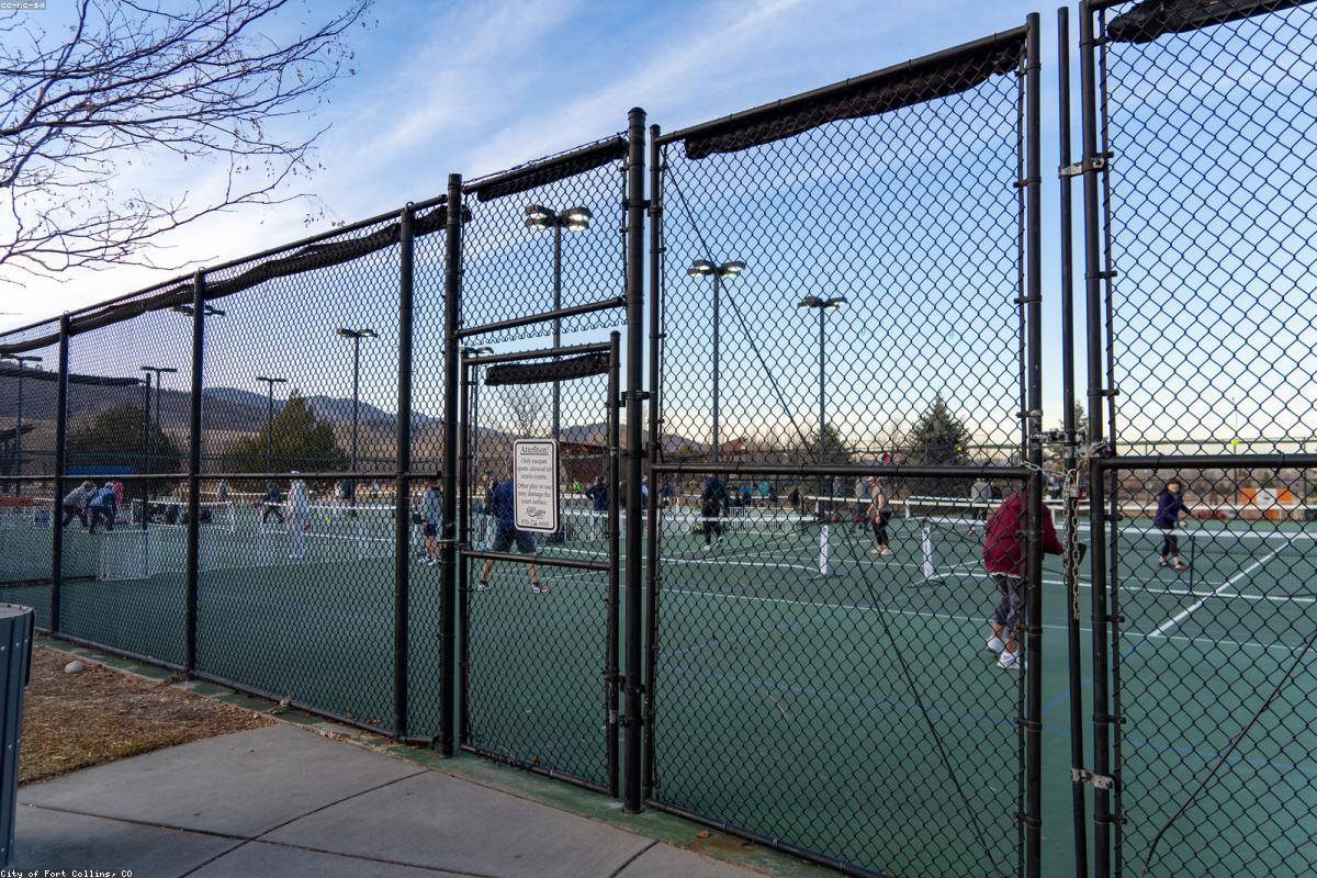 Best Pickleball Balls for Beginners in 2026: Indoor vs Outdoor