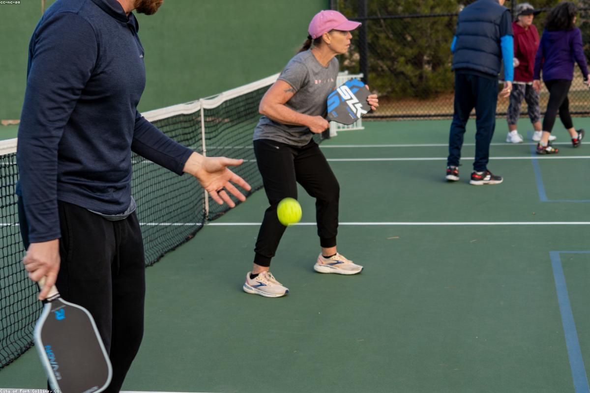 Best Pickleball Training Aids for Beginners in 2026